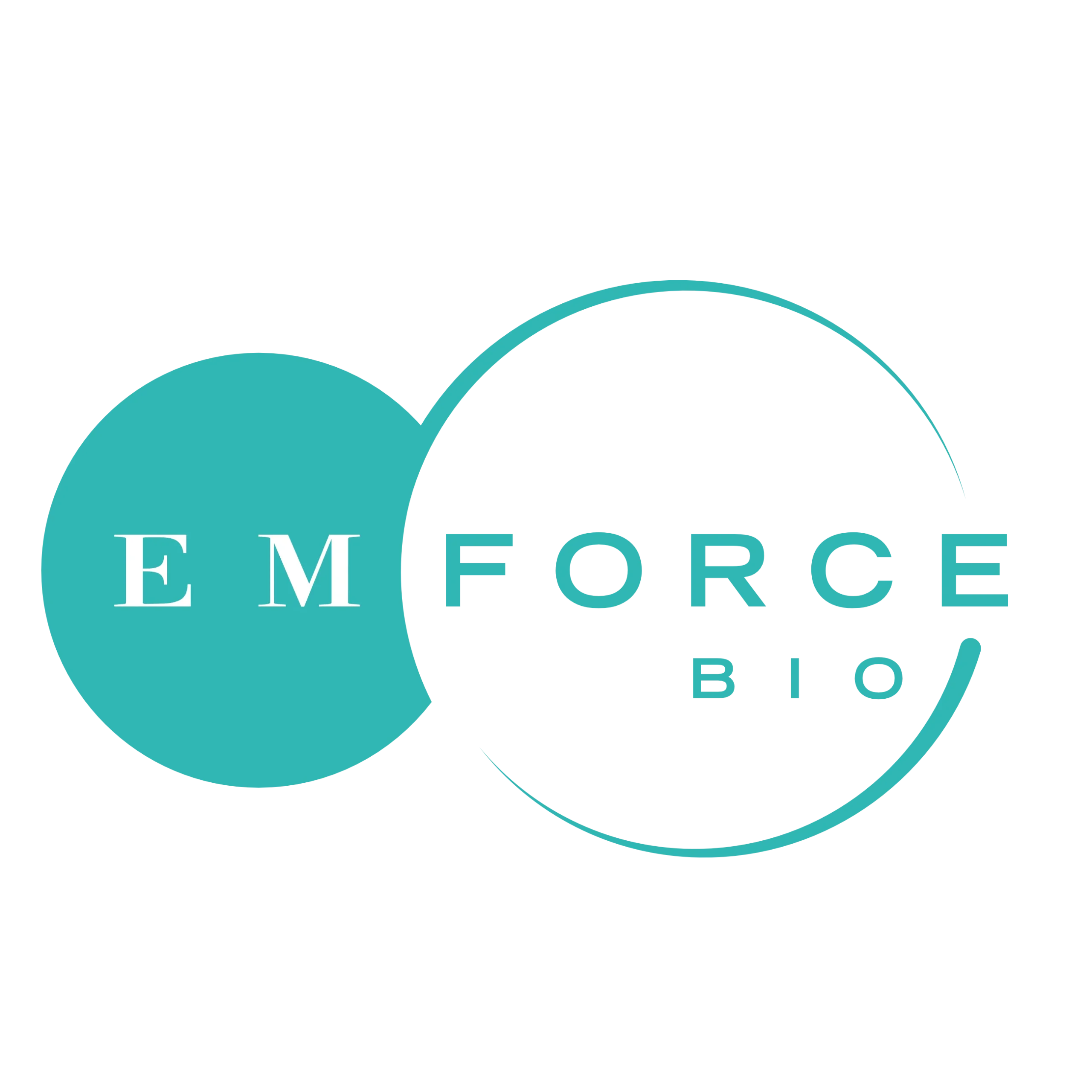 Emforce Logo